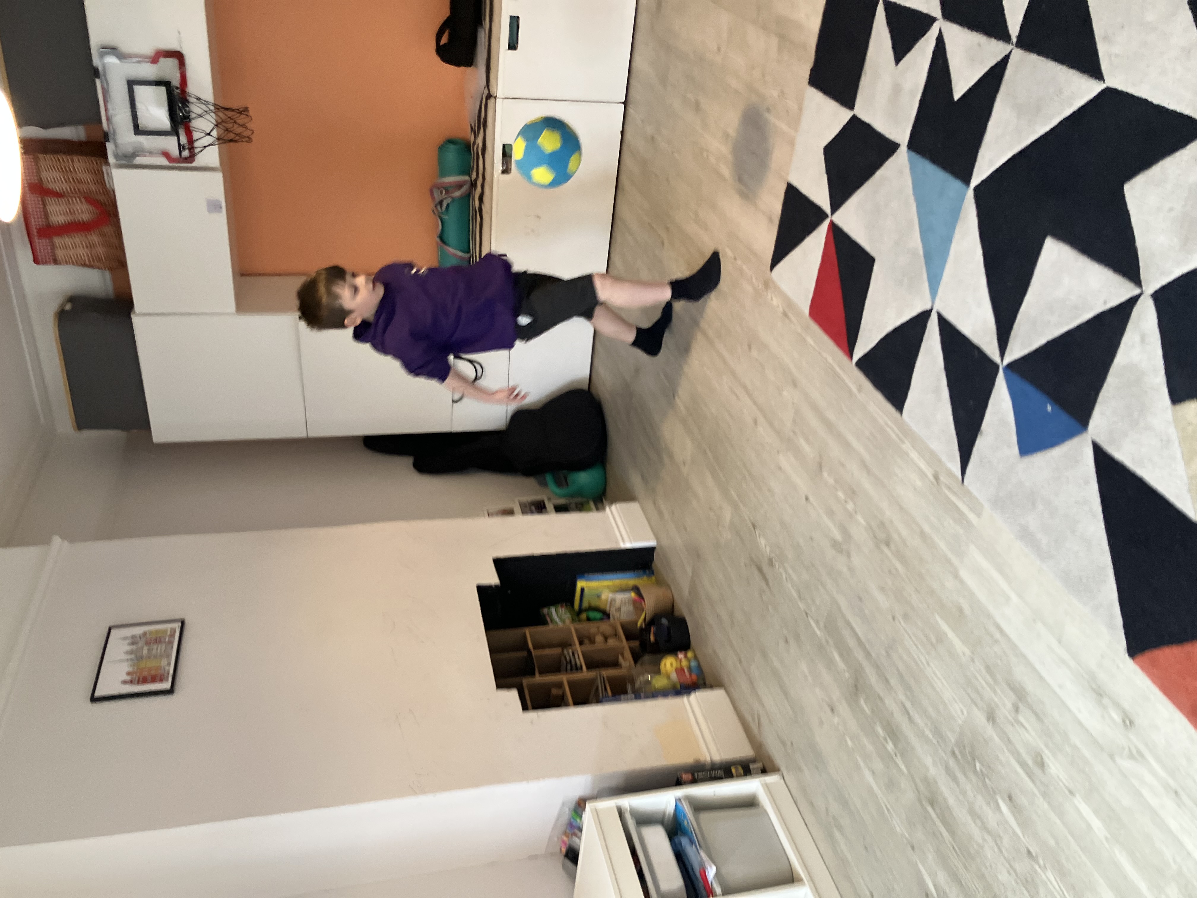 Leo mid-kick in the living room